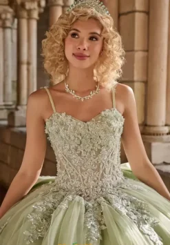 Plus Sized Quince Dresses^LizLuo Quinceanera 26125