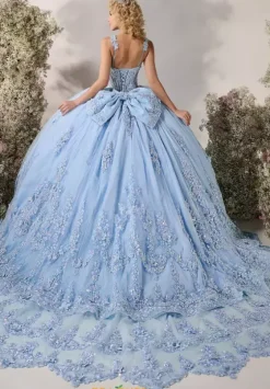 Plus Sized Quince Dresses^LizLuo Quinceanera 26125