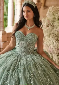 Plus Sized Quince Dresses^LizLuo Quinceanera 56550