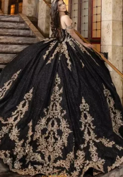 Plus Sized Quince Dresses|Sweet Sixteen^LizLuo Quinceanera 80041