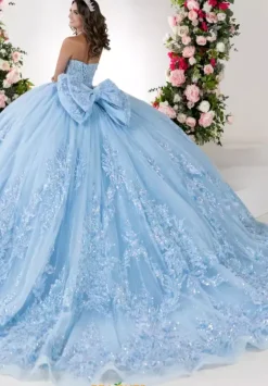 Plus Sized Quince Dresses^LizLuo Quinceanera 26135