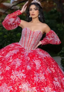Quince Dresses With Sleeves|Plus Sized Quince Dresses^LizLuo Quinceanera 26084