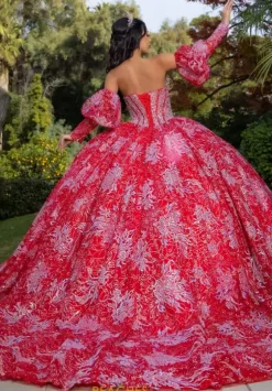 Quince Dresses With Sleeves|Plus Sized Quince Dresses^LizLuo Quinceanera 26084
