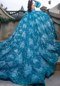 Quince Dresses With Sleeves|Plus Sized Quince Dresses^LizLuo Quinceanera 26084