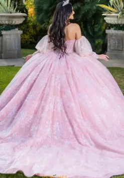 Quince Dresses With Sleeves|Plus Sized Quince Dresses^LizLuo Quinceanera 26084