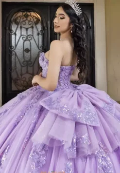 Plus Sized Quince Dresses|Sweet Sixteen^LizLuo Quinceanera 26101