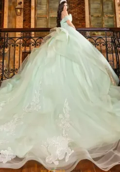 Plus Sized Quince Dresses|Sweet Sixteen^LizLuo Quinceanera 80027