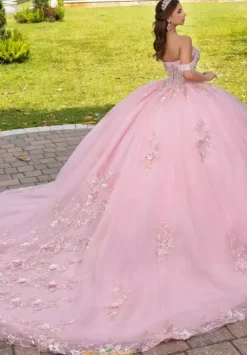Plus Sized Quince Dresses|Sweet Sixteen^LizLuo Quinceanera 56526