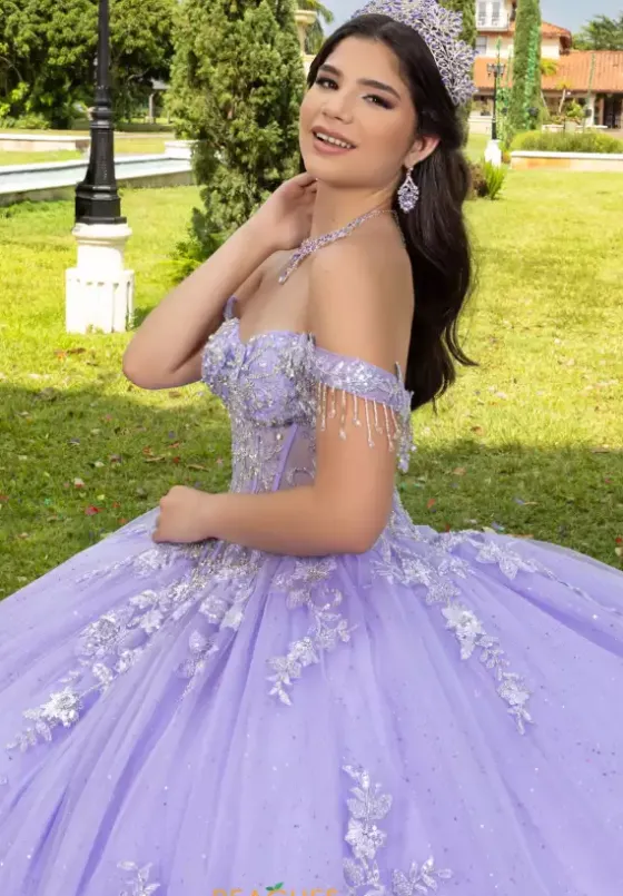 Plus Sized Quince Dresses|Sweet Sixteen^LizLuo Quinceanera 56526