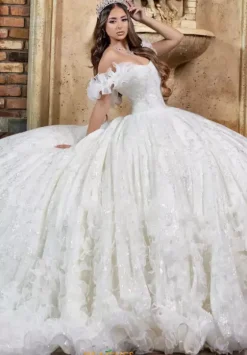 Plus Sized Quince Dresses|Sweet Sixteen^LizLuo Quinceanera 80020