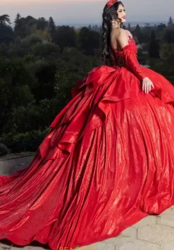 Quince Dresses With Sleeves|Plus Sized Quince Dresses^LizLuo Quinceanera 26097