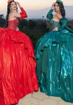 Quince Dresses With Sleeves|Plus Sized Quince Dresses^LizLuo Quinceanera 26097