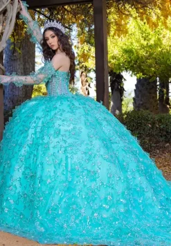 Quince Dresses With Sleeves|Plus Sized Quince Dresses^LizLuo Quinceanera 26085