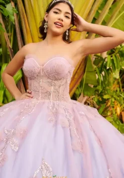 Sweet Sixteen|Plus Sized Quince Dresses^LizLuo Quinceanera 56521