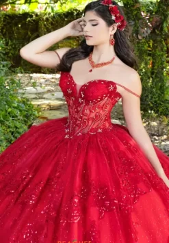 Plus Sized Quince Dresses|Sweet Sixteen^LizLuo Quinceanera 56531