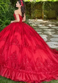 Plus Sized Quince Dresses|Sweet Sixteen^LizLuo Quinceanera 56531