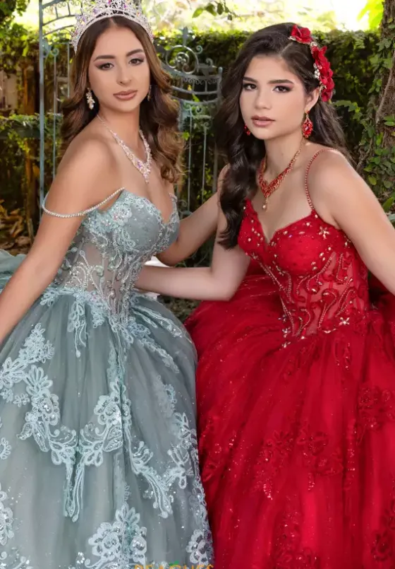Plus Sized Quince Dresses|Sweet Sixteen^LizLuo Quinceanera 56531