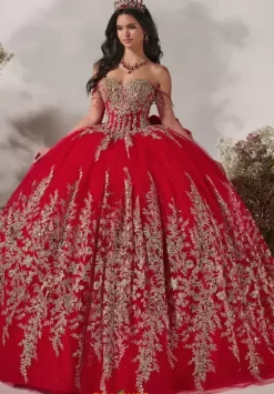 Plus Sized Quince Dresses^LizLuo Quinceanera 56540