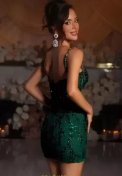 Short Homecoming Dresses|Quince Guest Dresses^Portia and Scarlett PS25707