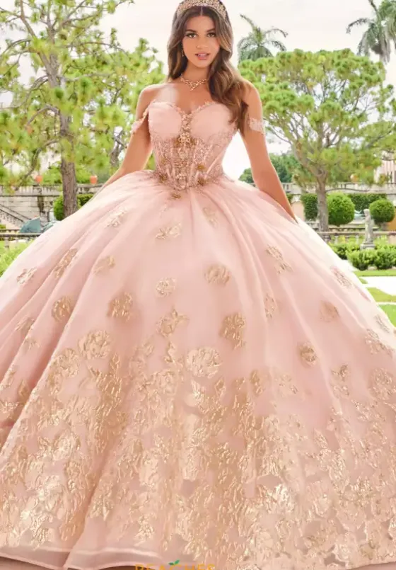 Plus Sized Quince Dresses|Sweet Sixteen^Princesa Quinceanera PR30154