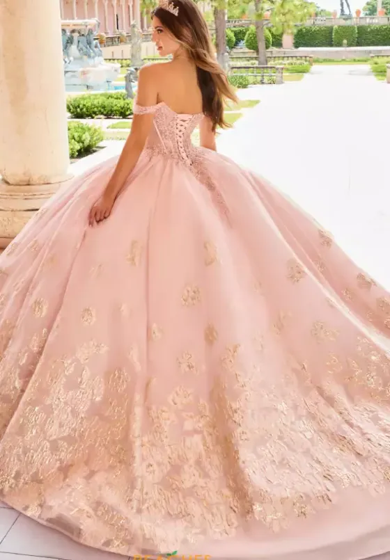 Plus Sized Quince Dresses|Sweet Sixteen^Princesa Quinceanera PR30154