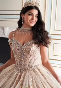 Plus Sized Quince Dresses|Sweet Sixteen^Princesa Quinceanera PR30173