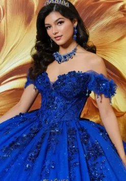 Plus Sized Quince Dresses|Sweet Sixteen^Princesa Quinceanera PR30174