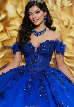 Plus Sized Quince Dresses|Sweet Sixteen^Princesa Quinceanera PR30174