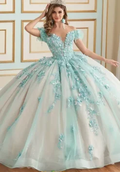 Plus Sized Quince Dresses|Sweet Sixteen^Princesa Quinceanera PR30174