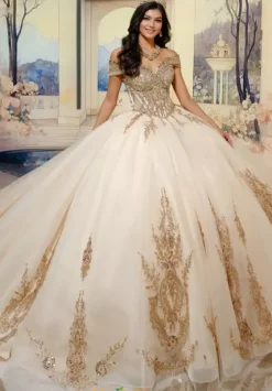 Plus Sized Quince Dresses|Sweet Sixteen^Princesa Quinceanera PR30211