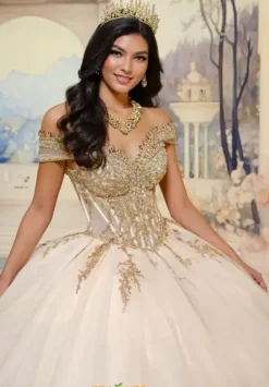 Plus Sized Quince Dresses|Sweet Sixteen^Princesa Quinceanera PR30211