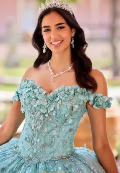 Sweet Sixteen|Plus Sized Quince Dresses^Princesa Quinceanera PR22036