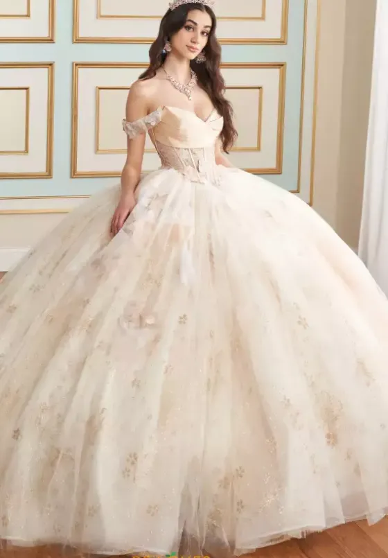 Plus Sized Quince Dresses|Sweet Sixteen^Princesa Quinceanera PR30159