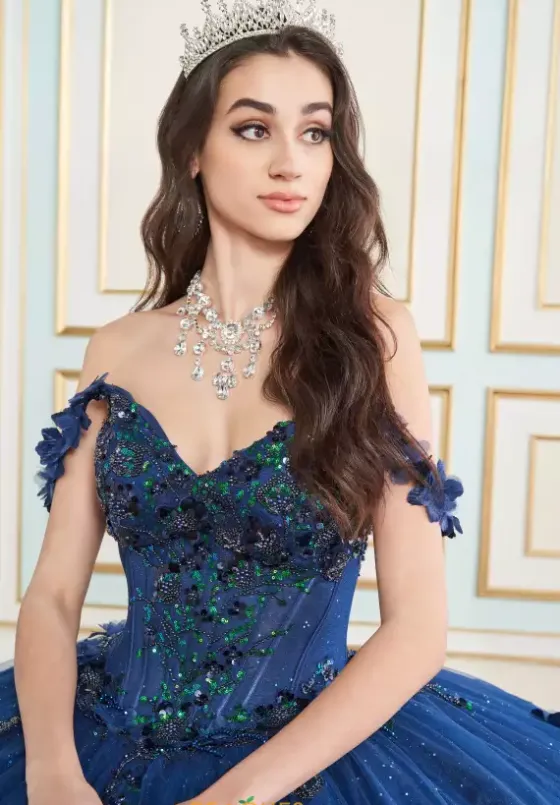 Plus Sized Quince Dresses|Sweet Sixteen^Princesa Quinceanera PR30179