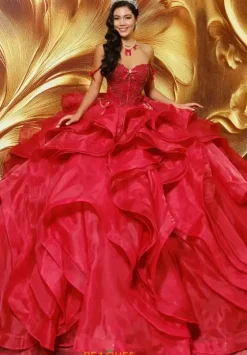 Plus Sized Quince Dresses|Sweet Sixteen^Princesa Quinceanera PR30204