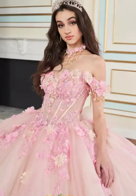 Plus Sized Quince Dresses|Sweet Sixteen^Princesa Quinceanera PR30178