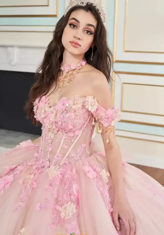 Plus Sized Quince Dresses|Sweet Sixteen^Princesa Quinceanera PR30178