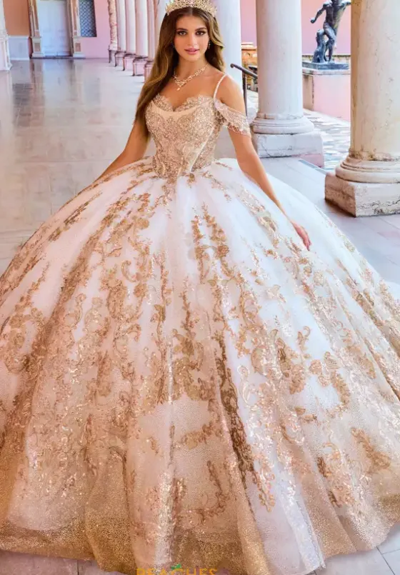 Sweet Sixteen|Plus Sized Quince Dresses^Princesa Quinceanera PR30153