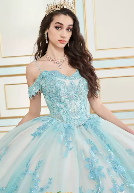 Sweet Sixteen|Plus Sized Quince Dresses^Princesa Quinceanera PR30153