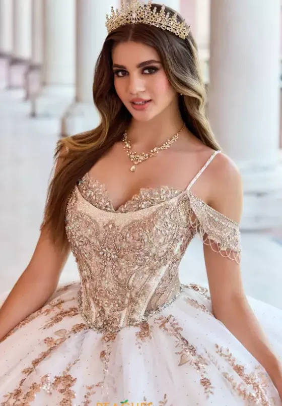 Sweet Sixteen|Plus Sized Quince Dresses^Princesa Quinceanera PR30153