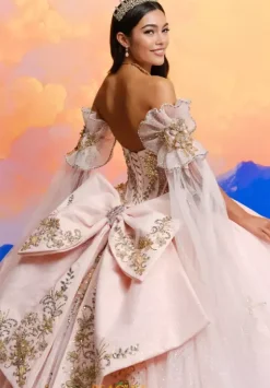 Plus Sized Quince Dresses|Sweet Sixteen^Princesa Quinceanera PR30208