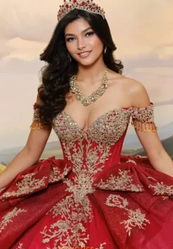 Plus Sized Quince Dresses|Sweet Sixteen^Princesa Quinceanera PR30203