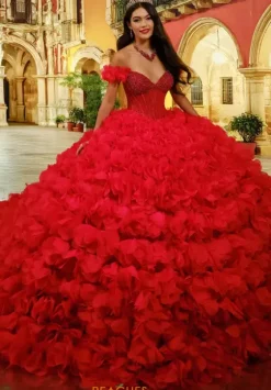 Plus Sized Quince Dresses^Princesa Quinceanera PR30232
