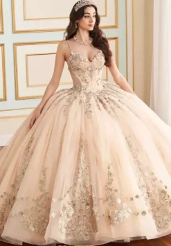 Sweet Sixteen|Plus Sized Quince Dresses^Princesa Quinceanera PR30182