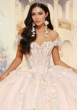 Plus Sized Quince Dresses|Sweet Sixteen^Princesa Quinceanera PR30202