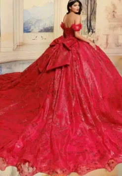 Plus Sized Quince Dresses|Sweet Sixteen^Princesa Quinceanera PR30206