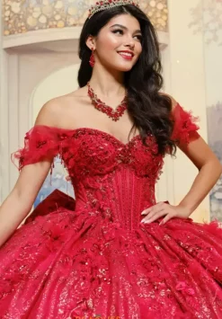 Plus Sized Quince Dresses|Sweet Sixteen^Princesa Quinceanera PR30206