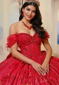 Plus Sized Quince Dresses|Sweet Sixteen^Princesa Quinceanera PR30206