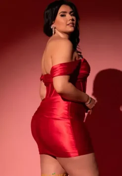 Short Homecoming Dresses|Wedding Guest^Rachel Allan 40433