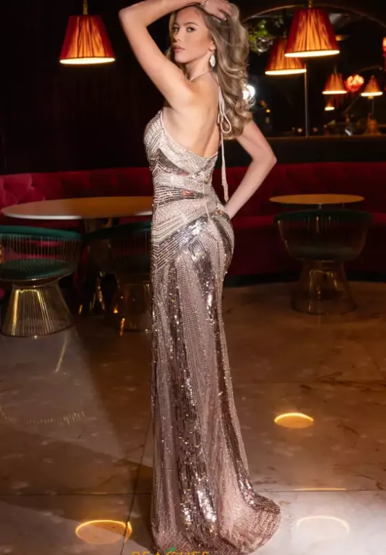 Long Dresses|Plus Sized Dresses^Rachel Allan 70885